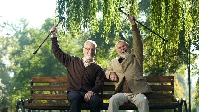 Two smiling senior men with canes raised up, happy life in old age, retirement