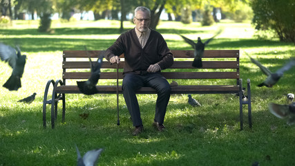 Old upset male banishing flock of pigeons in park, loneliness and retirement