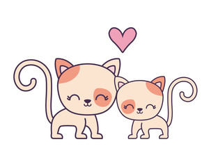 couple of cute cat animal isolated icon