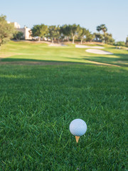 golf ball on the green on sunny day with background of plants and grass