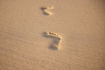 Fototapeta na wymiar footprints on a beautiful morning sunset sandy beach in sand 