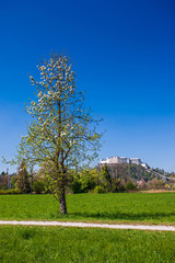 Festung Hohensalzburg 