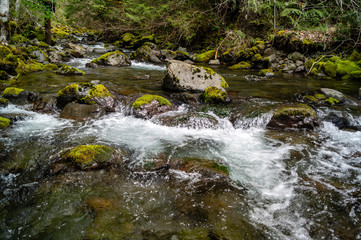 Rocky Brook flows out of the Olympic National Park near Dosewallips State Park in Washington's Olympic Peninsula