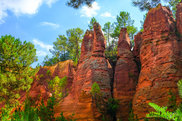 Roussillon ochre deposit: Beautiful pines in orange canyon.