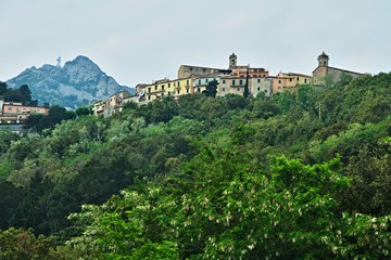 Fototapeta na wymiar Italy-outlook of the town Poggio on the island of Elba