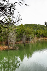 Obraz premium Camlik national park and lake, green pine forested hills, pinery at Yozgat city in Turkey