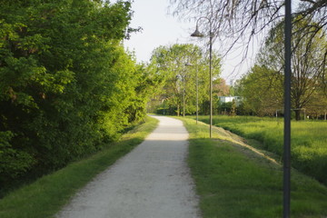 road path