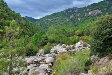 Fototapeta na wymiar Corsica-river Vacca
