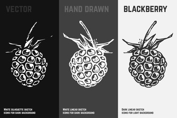 Hand drawn blackberry icons. Vector illustration