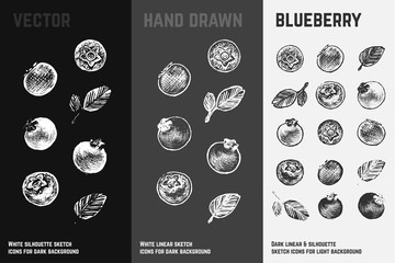 Hand drawn blueberry icons. Organic food vector