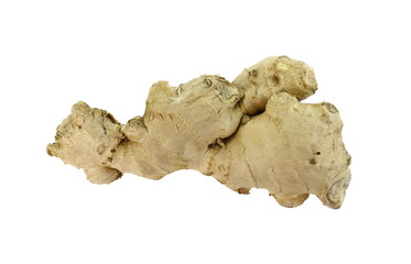 Fresh ginger on white background, herb medical concept - Image. Raw ginger root . Raw ginger root isolate on white background. Ginger root originated as ground flora of tropical lowland forests.