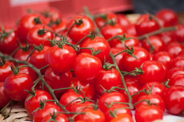 closeup of cherry tomatoes at the market