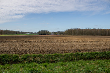 Obraz premium Arable land in Spring