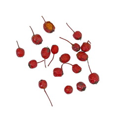Dried medicinal herbs raw materials isolated on white. Fruit of Crataegus commonly called hawthorn, thornapple, May-tree, whitethorn, or hawberry. Cure for the heart.