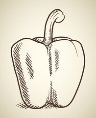 Sweet pepper vegetable illustration