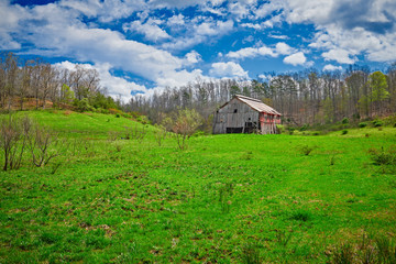 Old Kentucky Tobacco Barn in Early Spring