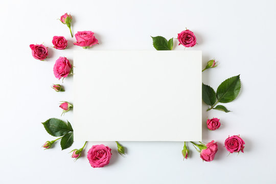 Beautiful pink roses and square with space for text on white background
