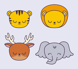 head of cute tiger with group animals