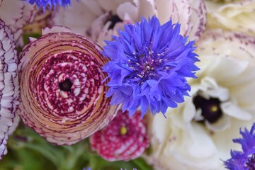 Bouquet di ranuncoli e fiordalisi