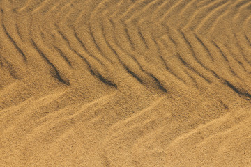 Fototapeta premium Close-up of the shadows of wind marks in the sand of the dunes