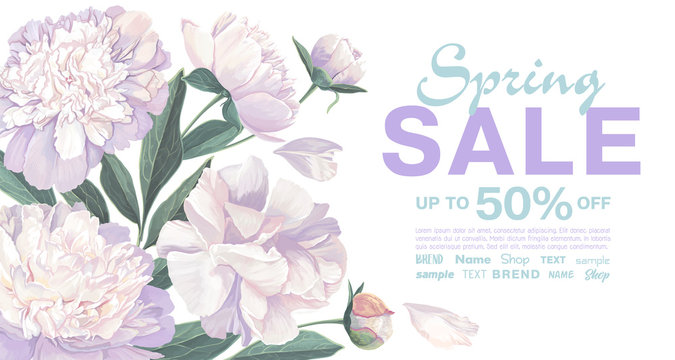 Spring sale banner with beautiful flowers. Vector illustration template. Background with white peonies flowers and leaves. Hand drawn, realistic style. Spring discount, brochure, poster, advertising.