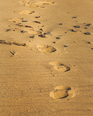 Footprints in the sand on the beach