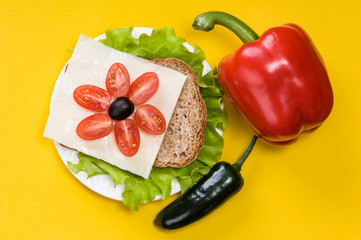 sandwich with vegetables on a white plate on a yellow background