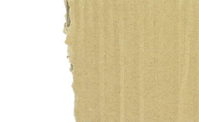 Cardboard texture. cardboard background . Piece of corrugated cardboard torn. Cardboard texture ragged edge. Space for text.