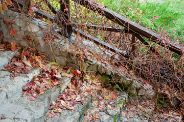 Fallen leaves on the stone steps in the park in the fall. Wooden railing, the last green grass in autumn.