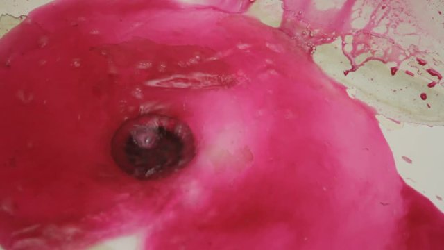 Blood flows into the hole of the shell