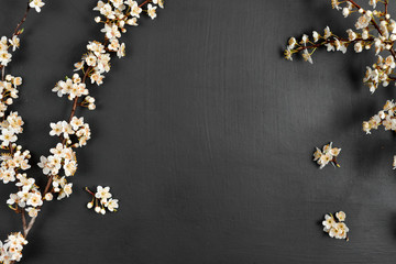 Flowers composition. Spring background with beautiful white flowering branches on black background. Spring and holiday concept. Flat lay, top view, copy space