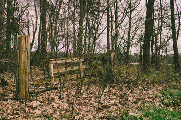 Overgrown wooden fence in an European forest