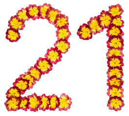 Numeral 21, twenty one, from natural flowers of primula, isolated on white background
