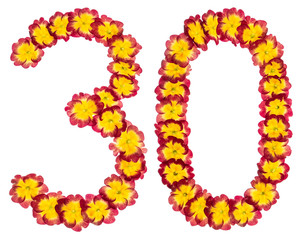 Numeral 30, thirty, from natural flowers of primula, isolated on white background