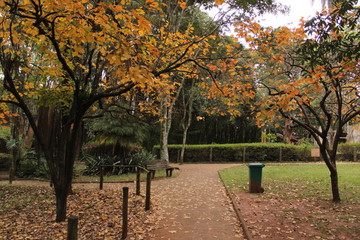 Naklejka premium autumn in the ecological park.