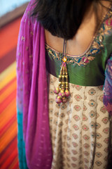 Woman in Traditional Indian Sari