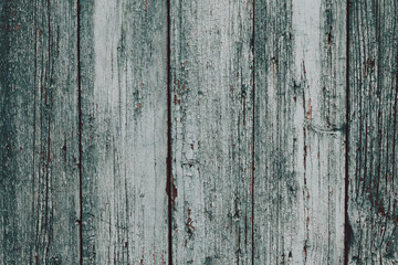 A dirty gray-green wooden surface. Grey wooden dilapidated boards. Wood plank texture background. Old wooden table, fence, timber, panel.