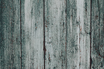 A dirty gray-green wooden surface. Grey wooden dilapidated boards. Wood plank texture background....