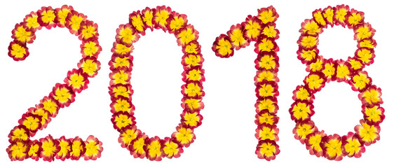 Inscription 2018, from natural flowers of primula, isolated on white background