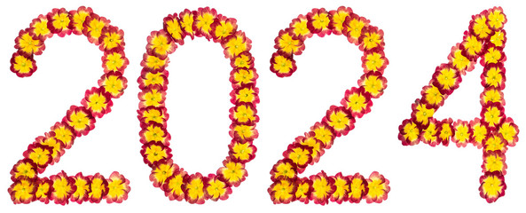 Inscription 2024, from natural flowers of primula, isolated on white background