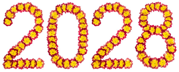 Inscription 2028, from natural flowers of primula, isolated on white background