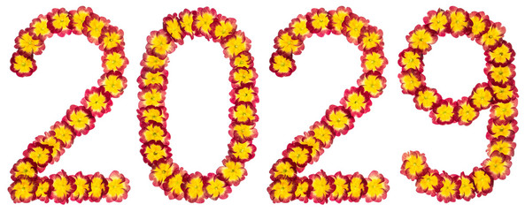 Inscription 2029, from natural flowers of primula, isolated on white background