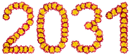Inscription 2031, from natural flowers of primula, isolated on white background