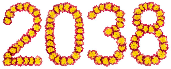 Inscription 2038, from natural flowers of primula, isolated on white background