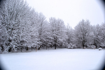 Obraz premium Winter Snow Vignette