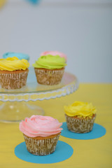 Beautiful multi-colored cupcakes.room is decorated with bright decor. Close-up.