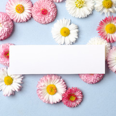 Creative layout made of daisy spring flowers and blank paper card. Minimal holiday concept. Flat lay pattern. Top view, overhead