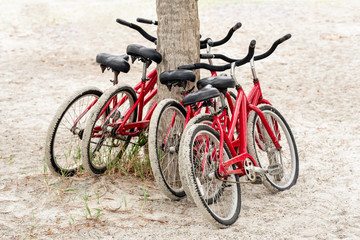 Five red bikes in a row on the beach by a tree trunk