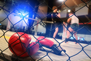 MMA fight scene with boxing gloves in foreground