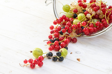 various currants and gooseberries fall out of a sieve on a white painted wooden background with copy space